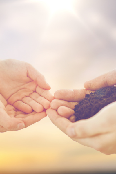 Testamentos, herencias y sucesiones abogados Tenerife