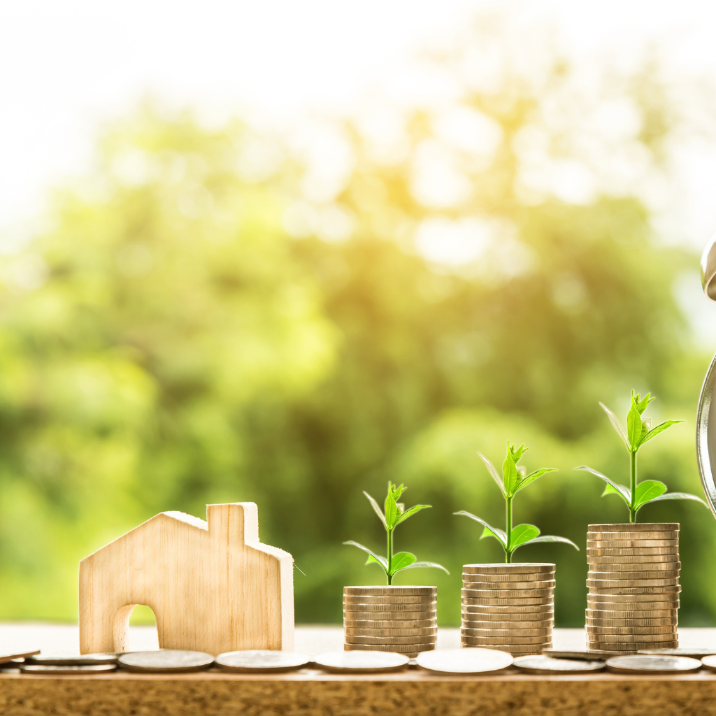 Ingresos y Ahorros Divorcio